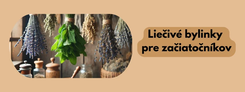 Bylinky pre začiatočníkov - ilustrácia