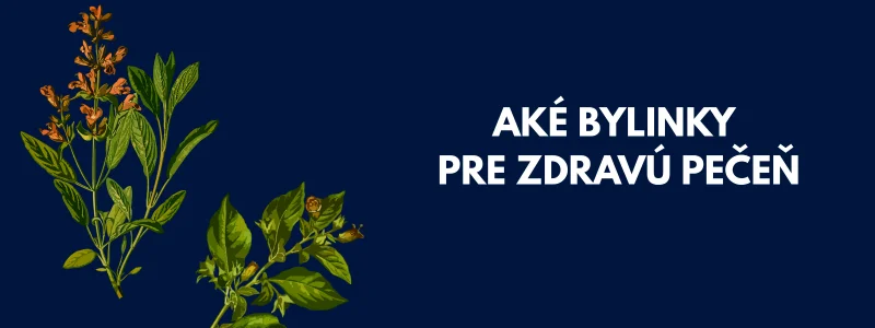 ilustrácia - pre zdravú pečeň